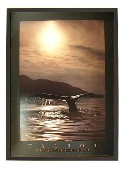 ☆ボブ タルボット（BOB TALBOT）☆リトグラフ・リトグラフポスターや